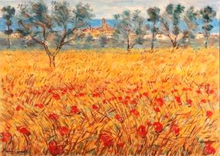 Poppy Field