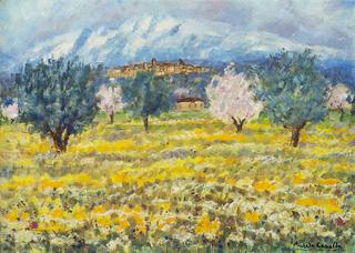 Landscape