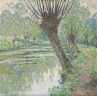 Pollard Willows