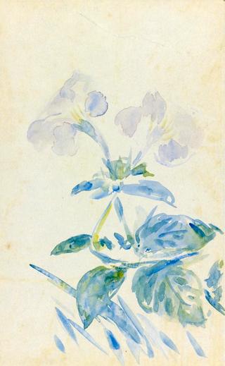Periwinkle