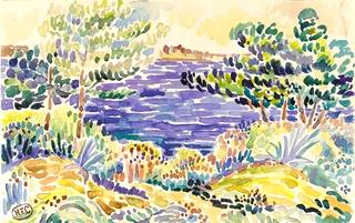Pines by the Sea
