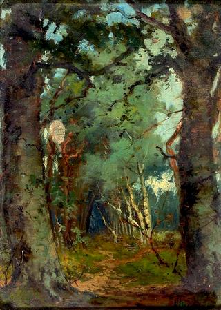 Path in the Woods