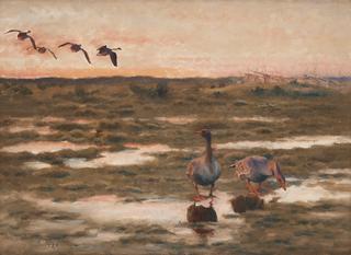 Landscape with Geese