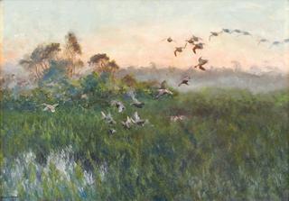 Ducks a Dawn