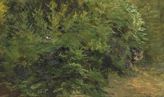 The Cat 'Jeppe' among the Foliage with Bird's Nest