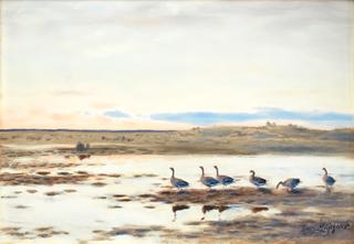 Wild Geese