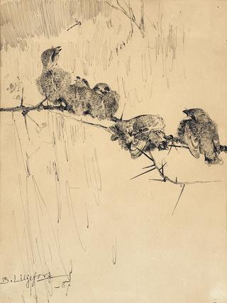 Chicks on a Branch
