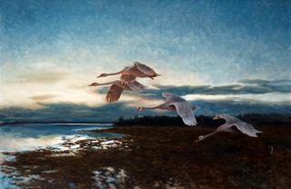 Flying Swans
