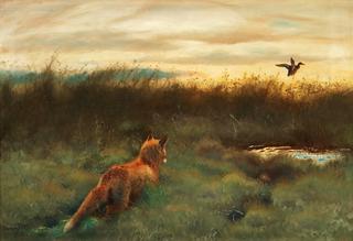 Fox and Duck