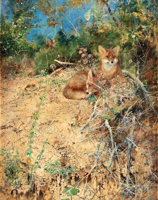 Foxes