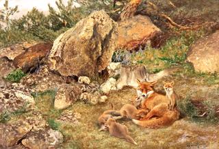 Playing Fox Cubs