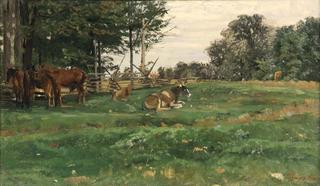 Livestock, Texas Ranch