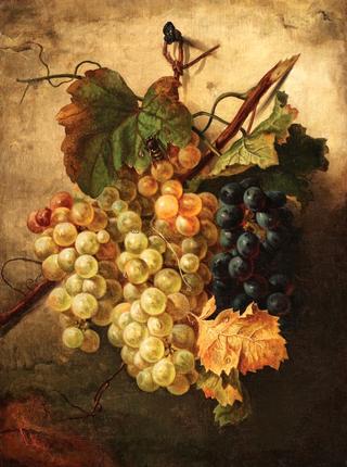 Still Life with Grapes