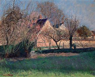 Houses in Evening Sunlight