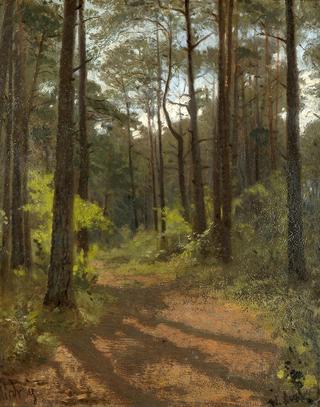 Forest Heart at Misdroy in Summer