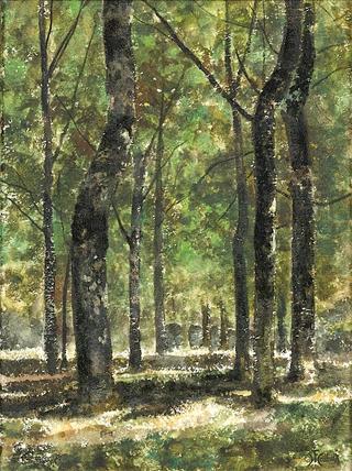 Woodland Scene