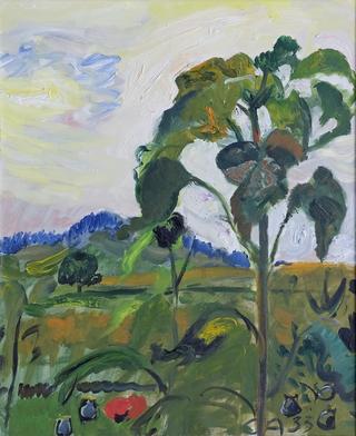 Sunflowers