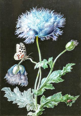 A blue poppy with a red beetle and white moth against a black background