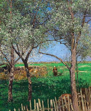 Trees blooming
