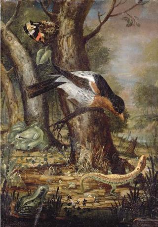 A forest-floor still life with a thrush on a branch, a lizard, a butterfly and two frogs