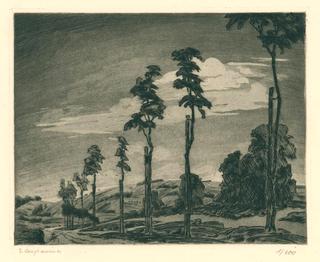 Hilly landscape with freshly planted avenue.