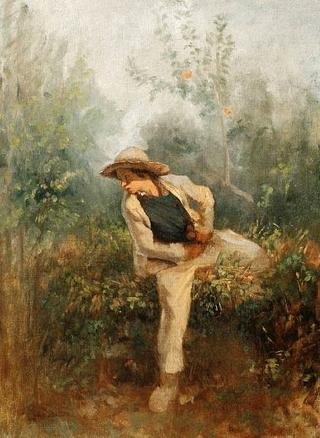The Poacher