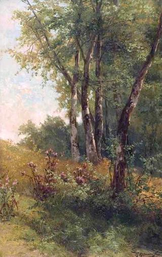 Wooded Landscape