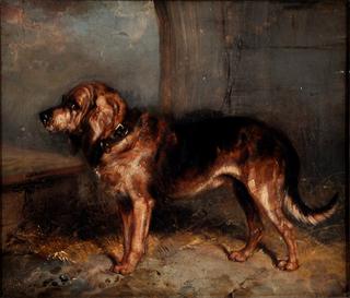 Portrait of a Hound in a Stable