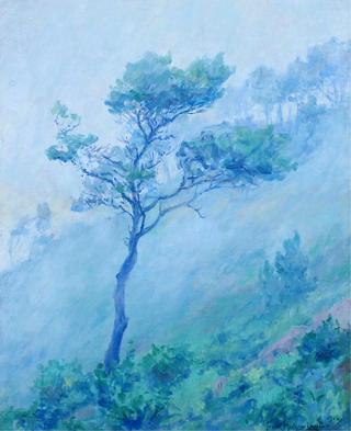 Tree on a Misty Hillside