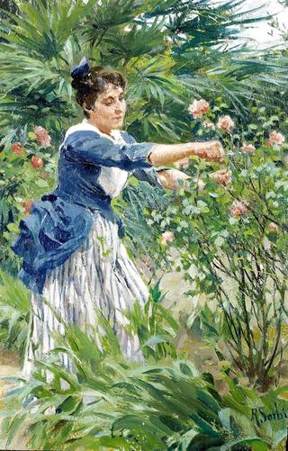 Pruning the roses