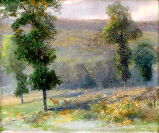Forest with Deer