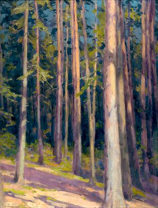 Fir Forest