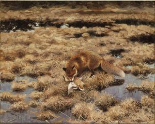 Fox and Duck