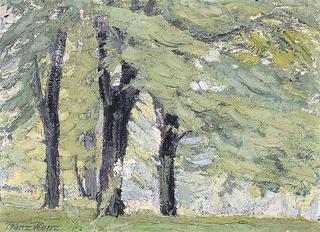 Deciduous forest.
