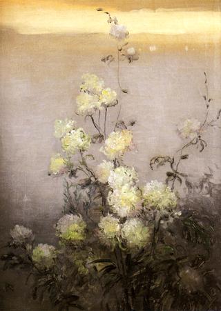 Chrysanthemums
