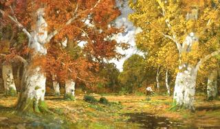 An Autumn Forest Landscape