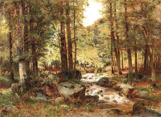 Wood in Autumn