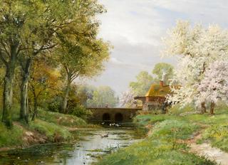 Spring Landscape