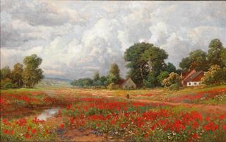 The Poppy Field