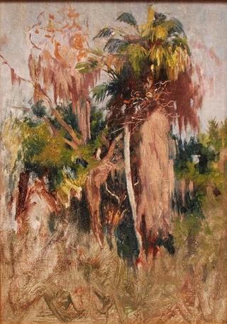 Florida Landscape