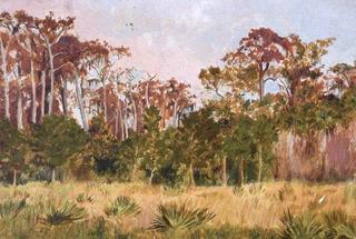 Florida Autumn