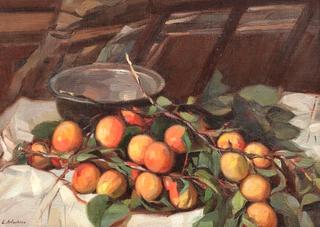 Fresh Apricots