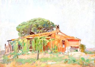 Vineyard in Provence