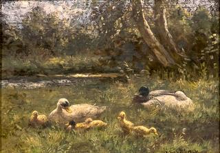 Family of Ducks Nestled Beside a Stream
