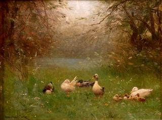 Duck Family in the Grass