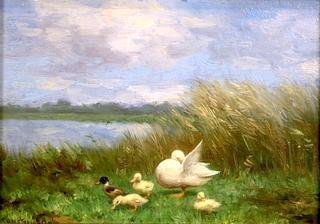 Ducks in the Reeds