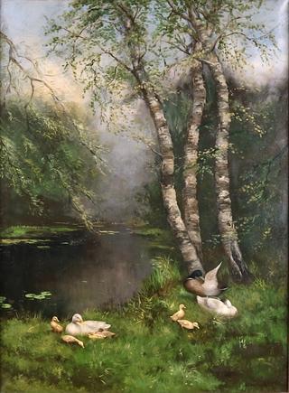 Duck Family by a Waterfront Birch Tree