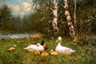 Ducks near Birches at the Waterfront