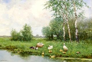 Ducks and Ducklings by the Waterside