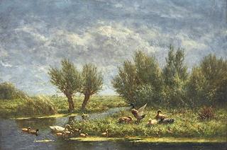 Ducks